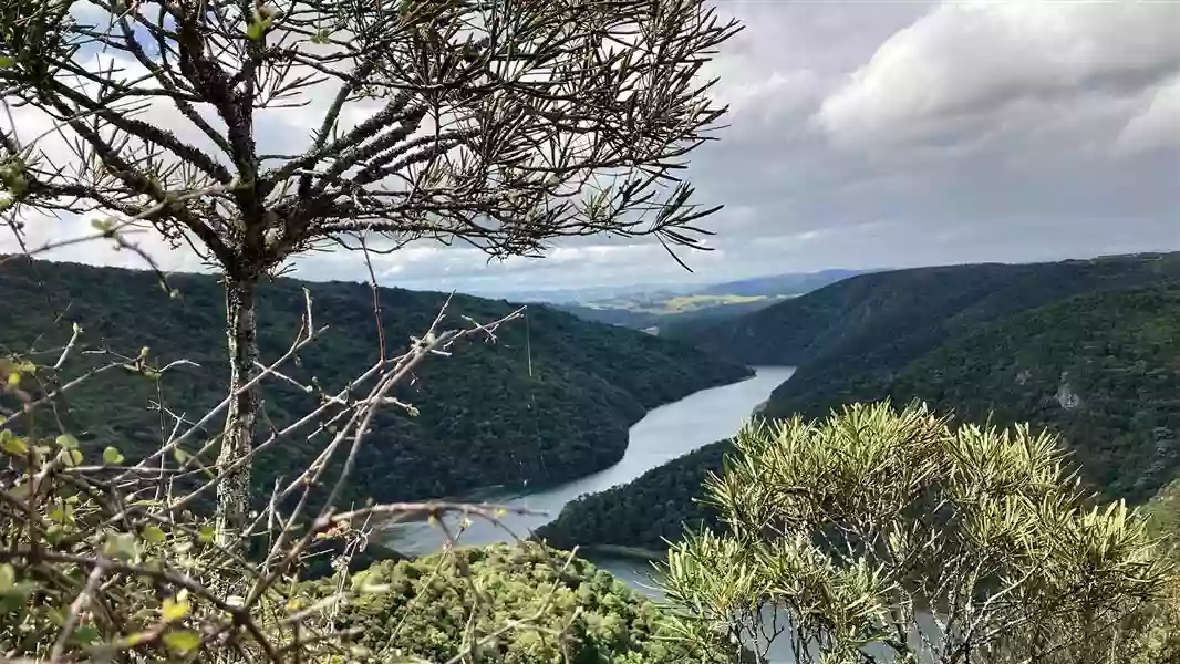 Taieri River Track