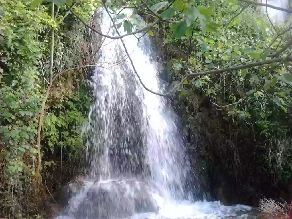 Casa Rural La Cascada El Bosque