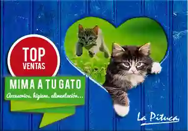 Mascotas La Pituca