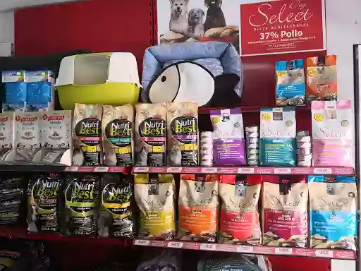 Pet Shop Lanzarote