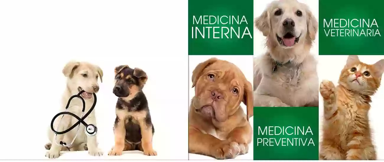 Clínica Veterinaria La Campana