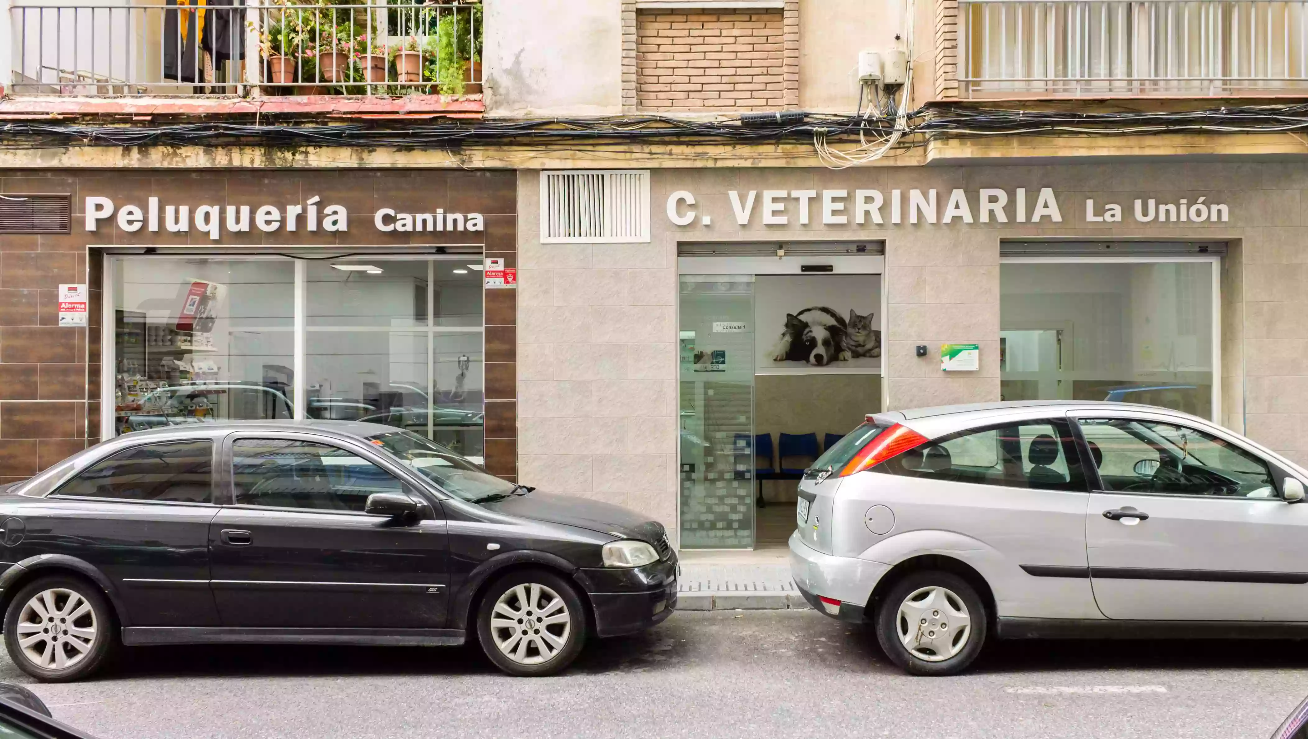 Clínica Veterinaria La Unión