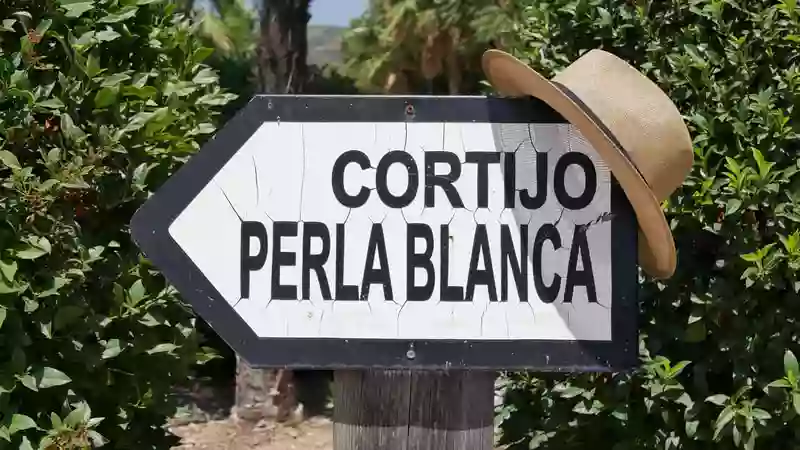 La Perla Blanca