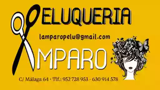 Peluqueria Amparo