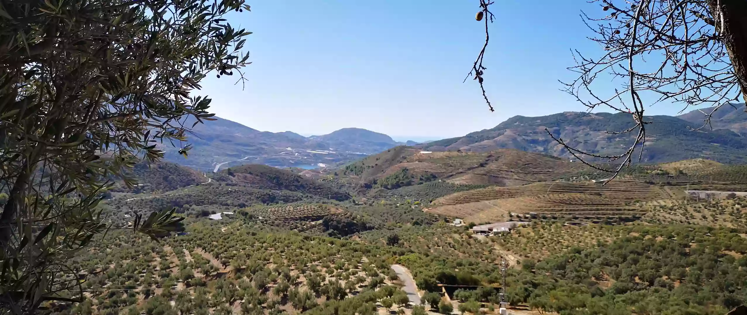 Cortijo Samadhi Lanjarón Alpujarra