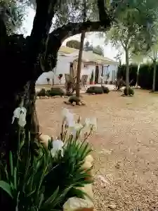 Casa Del Abuelo José. Alojamiento Rural