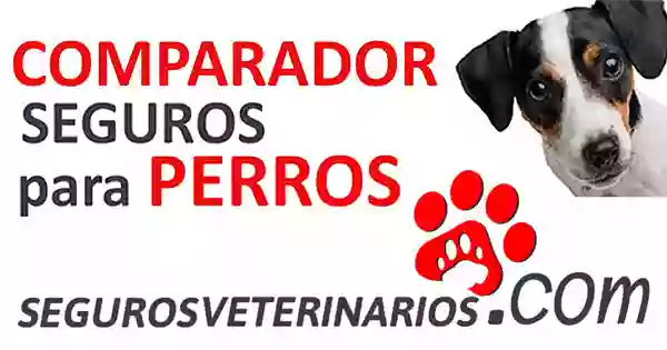 SegurosVeterinarios.com - Comparador Especialista en Seguros para Perros