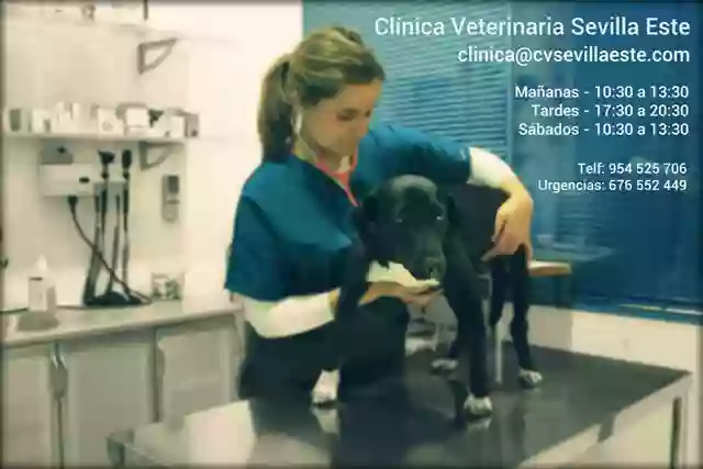 Clínica Veterinaria Sevilla Este