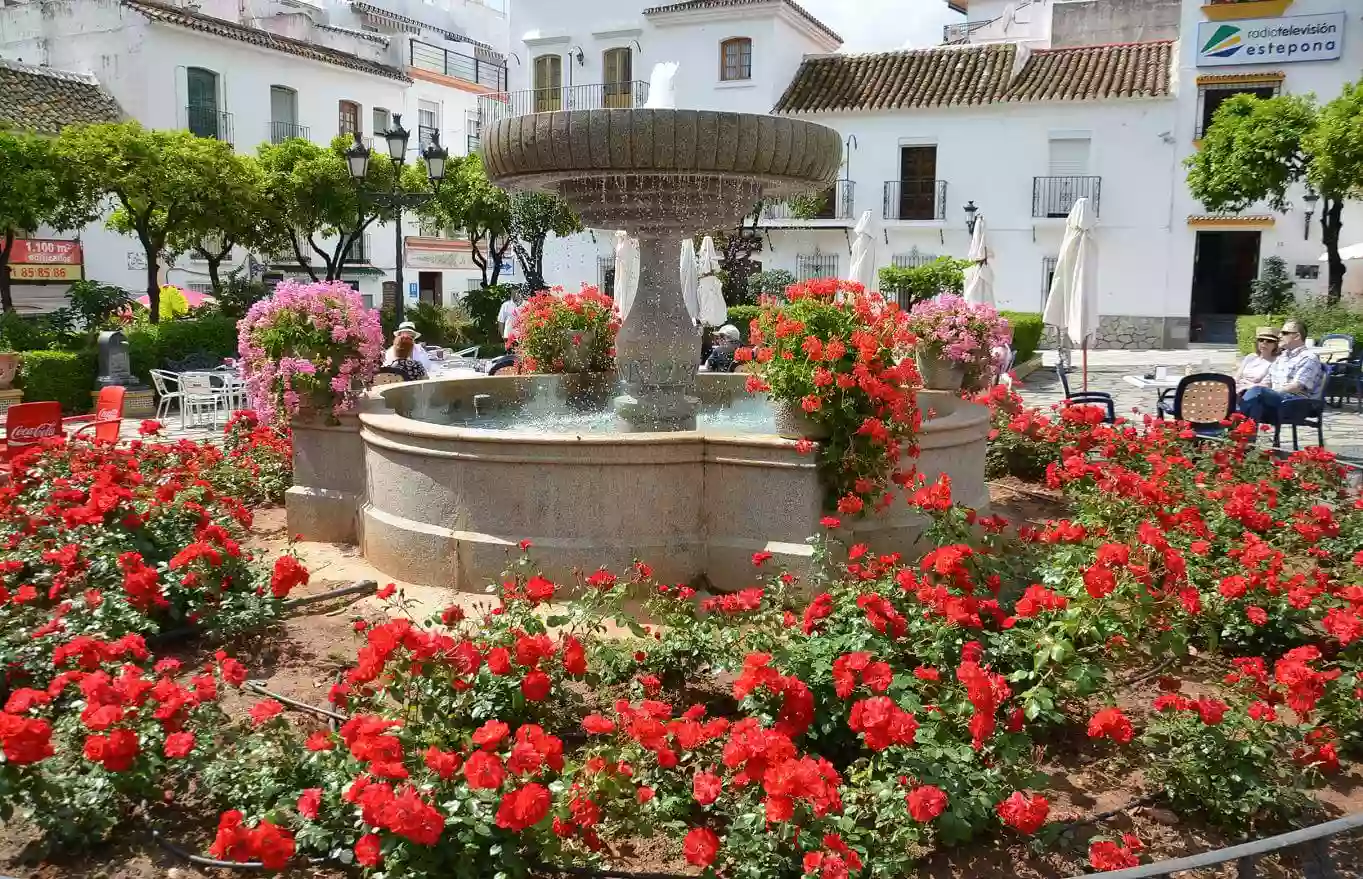 Casares Doña Julia