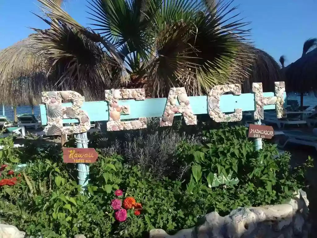 Restaurante Curro Playa