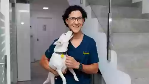 Clínica Veterinaria Quirino