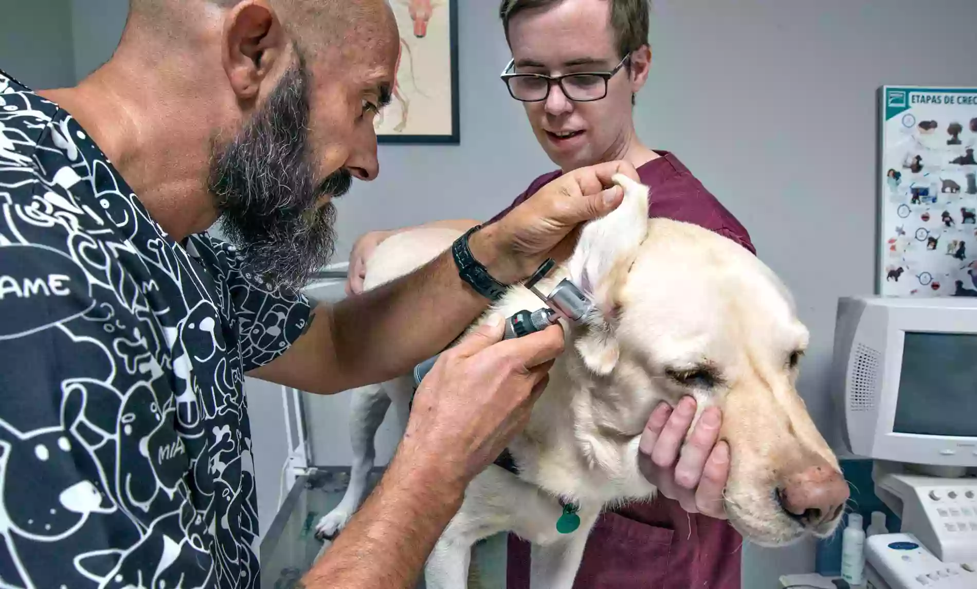 CLÍNICA VETERINARIA BAÑOS DEL CARMEN