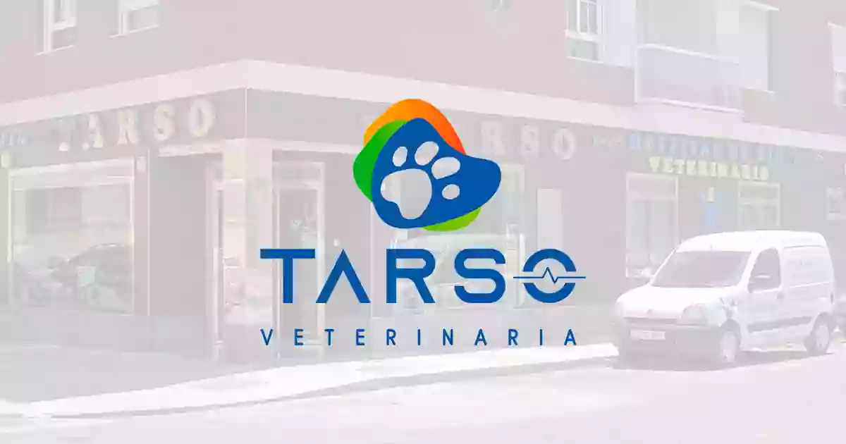 Hospital de Día Veterinario TARSO