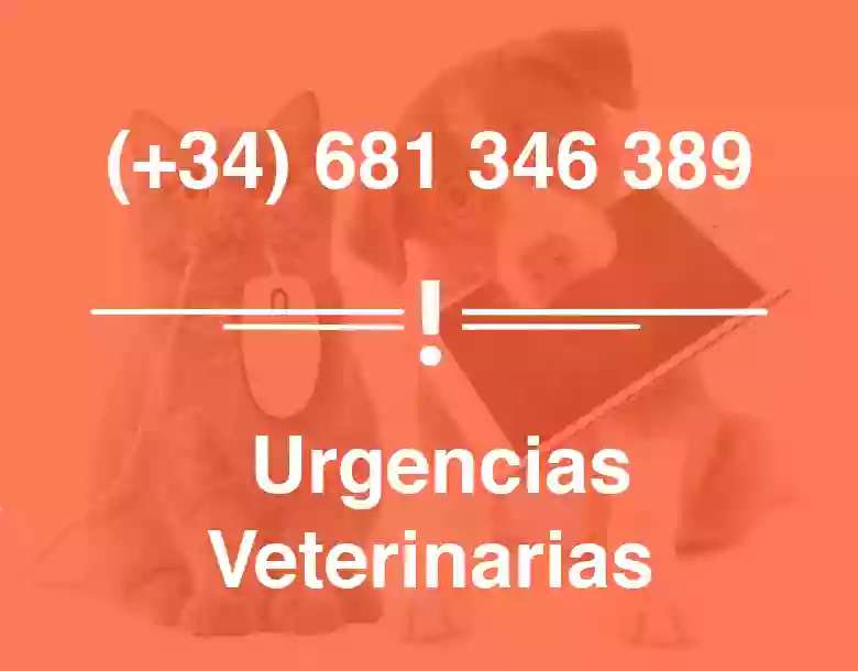 Tu Veterinario en Casa