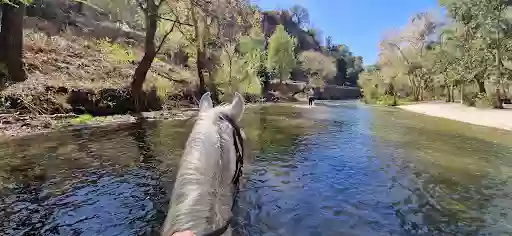 Rutas a caballo Turismo Activo Entre Montañas