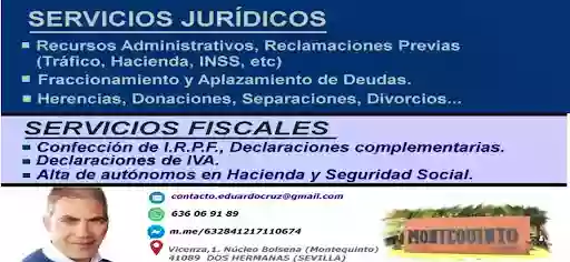 GESTOR Y ASESOR FISCAL Independiente