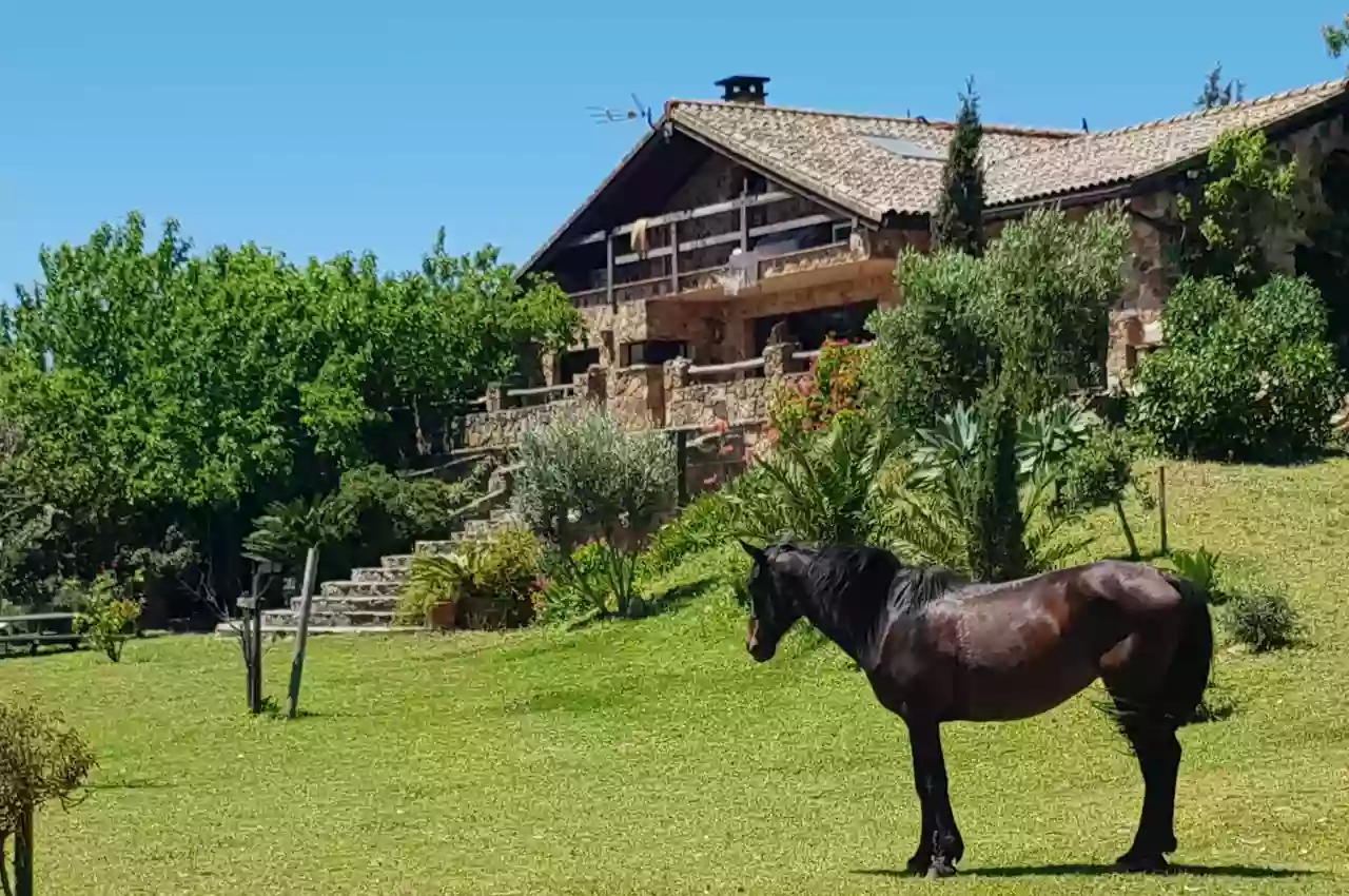 Apartment Horses and Nature