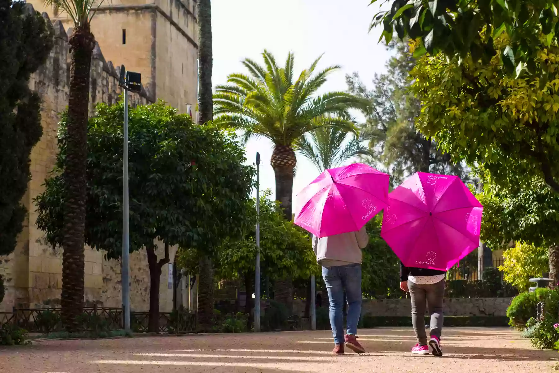 Córdoba Más