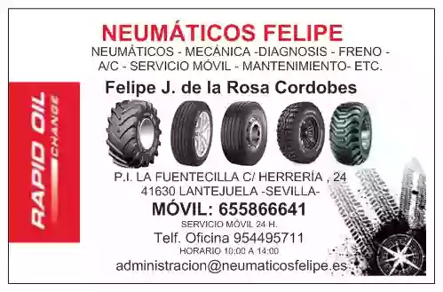 Neumaticos Felipe