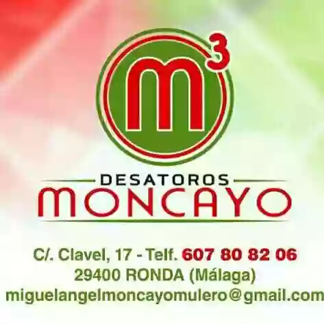 Desatoros Moncayo