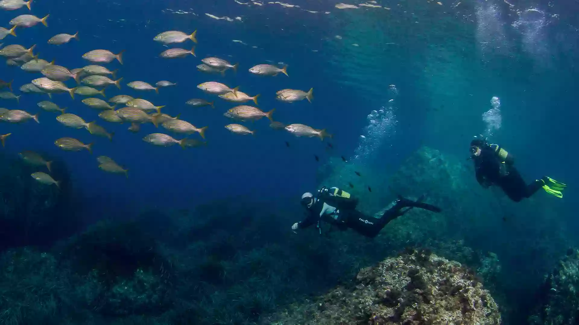 Centro de Buceo Isub