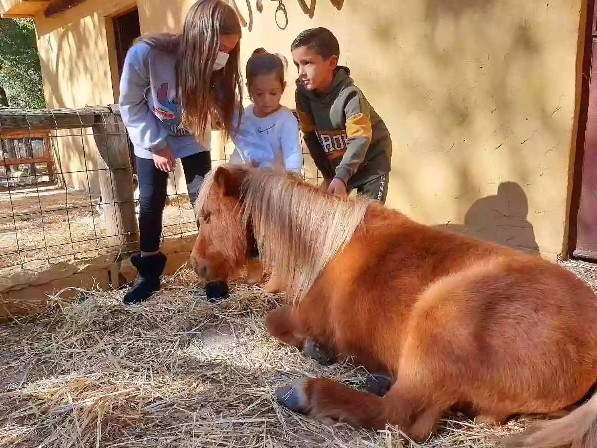 L´ALJARA Granja Escuela, Educación Ambiental y Multiaventura