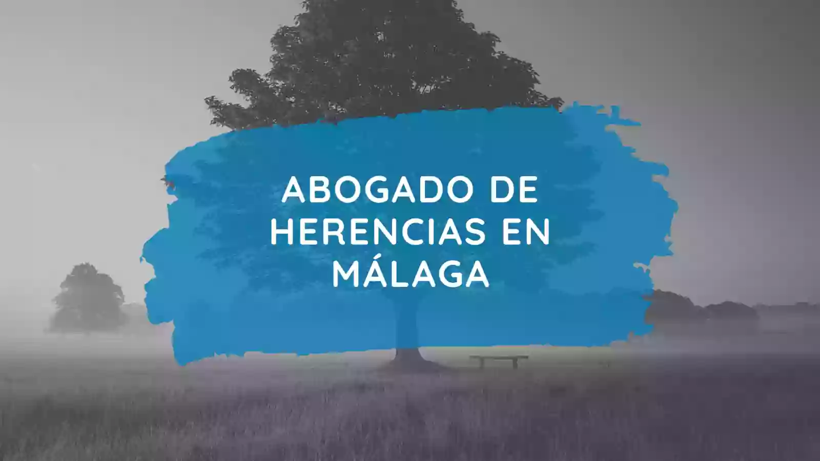 Abogado Herencias Marbella