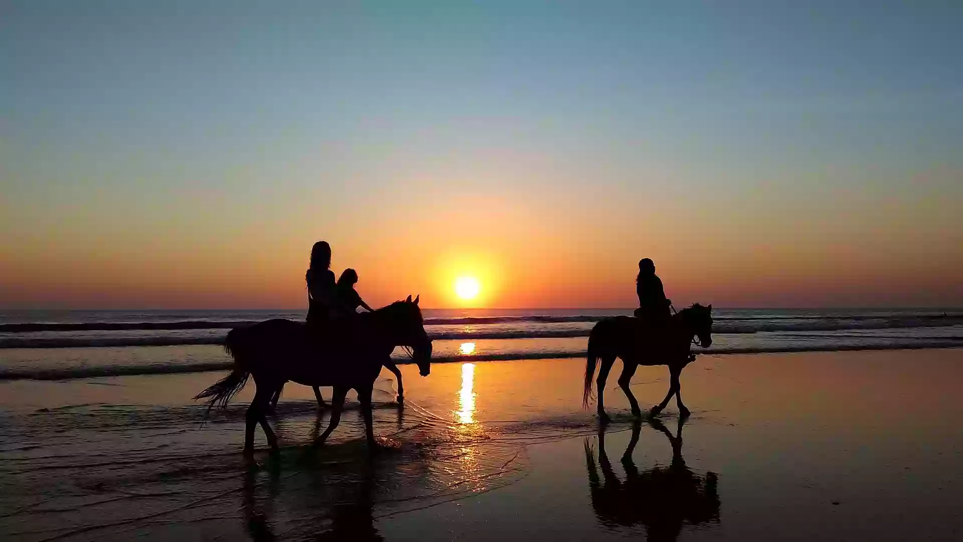 Marbella Horses (Pony Club Villacana)