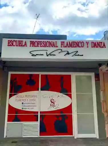 Escuela Profesional Flamenco y Danza Sonia Vera Muñoz