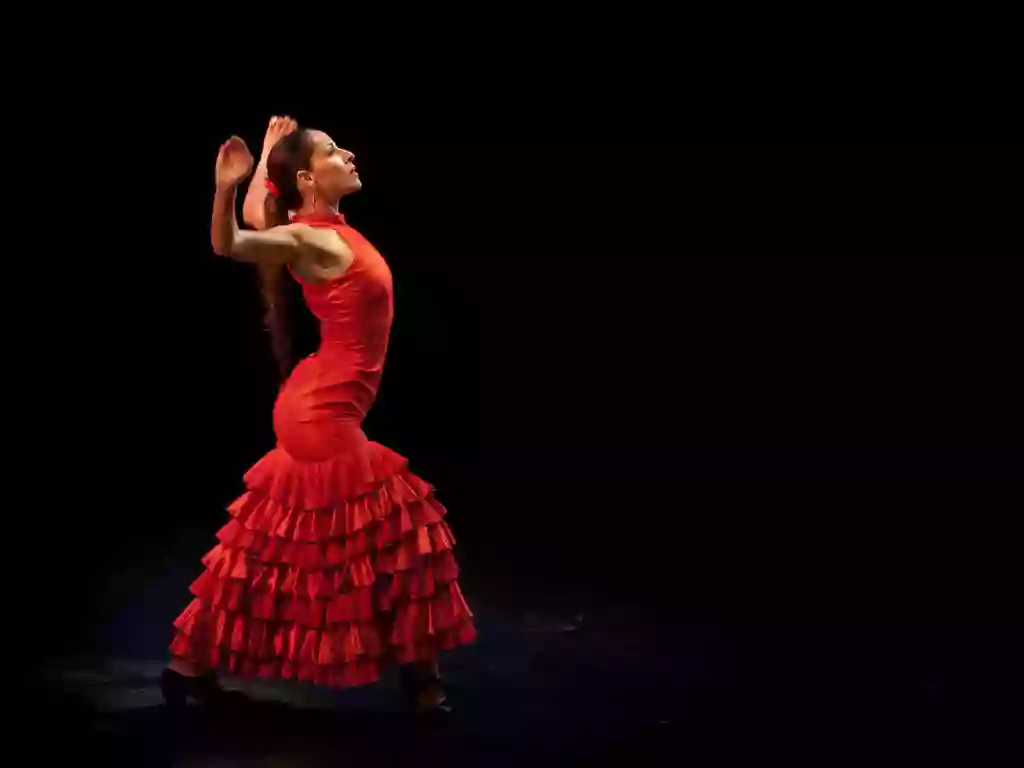 Flamenco Palacio el Americano Granada