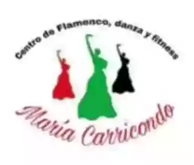 Centro De Flamenco Danza Y Fitnes María Carricondo