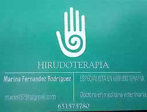 Hirudoterapia Almería