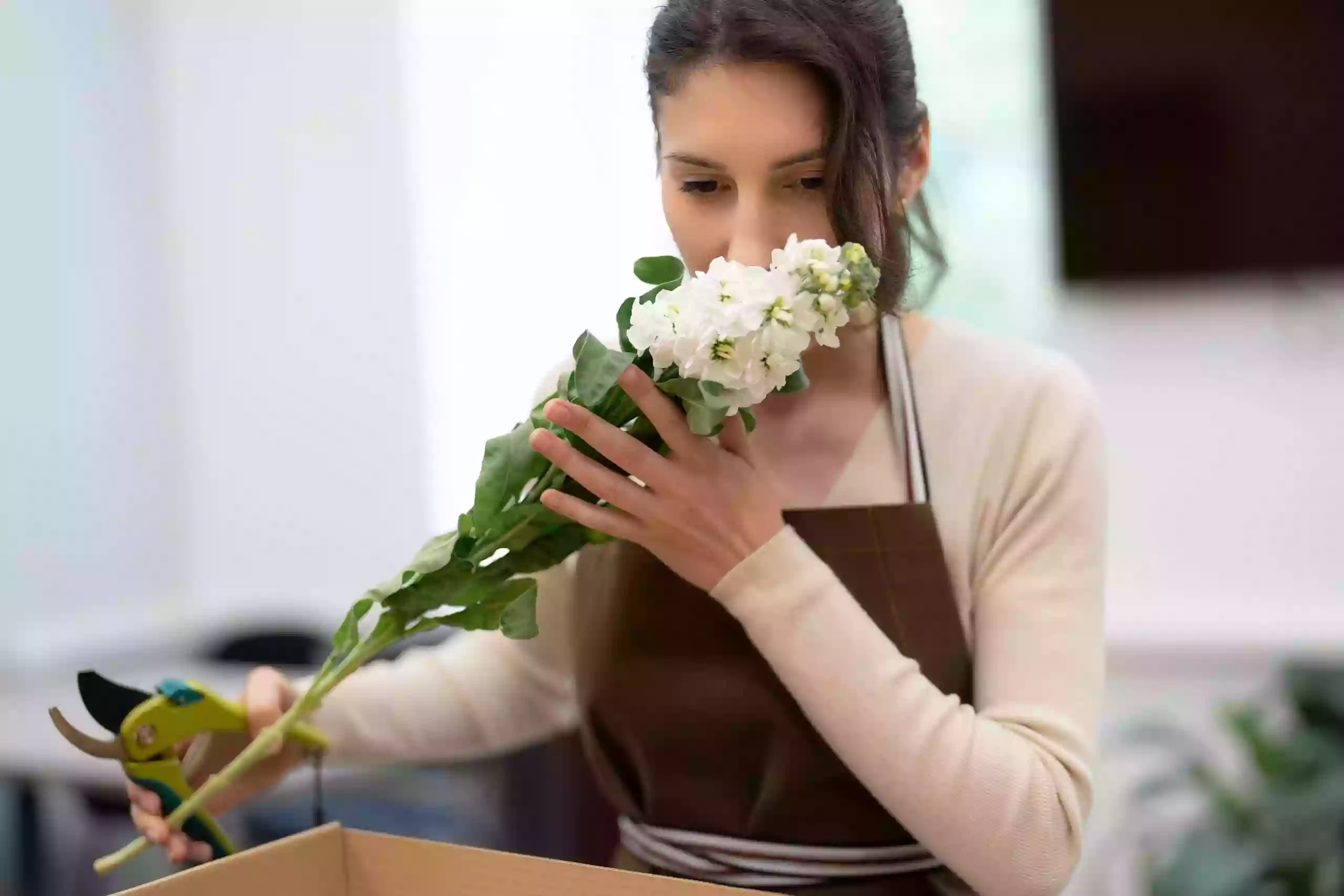 Floristeria Seflor