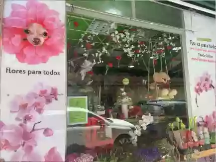 Flores Para Todos