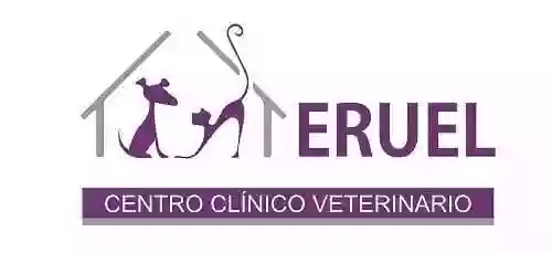 Centro Clínico Veterinario Teruel