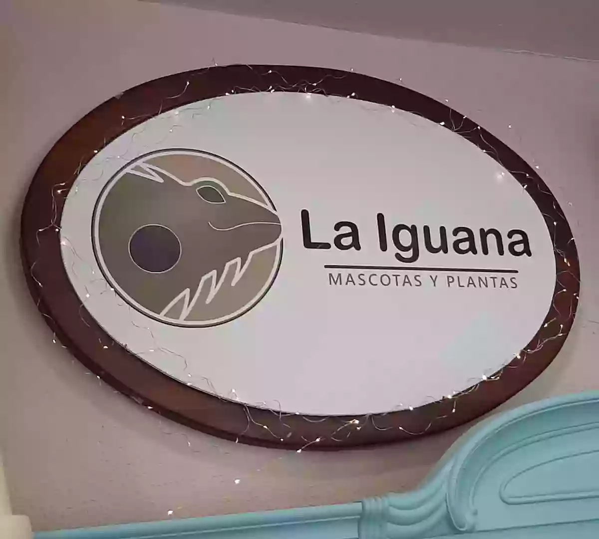 La Iguana