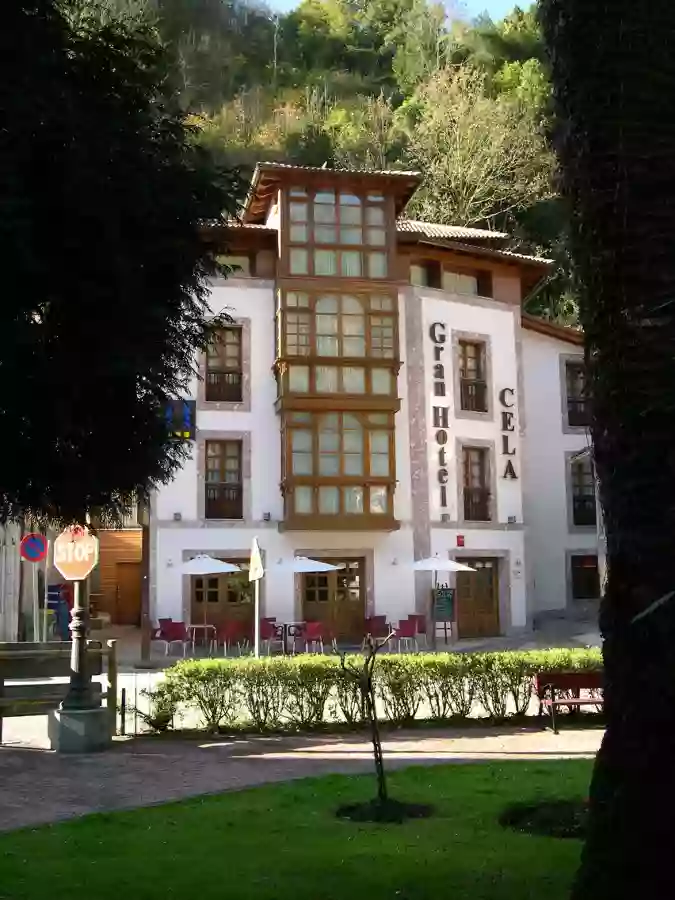 Gran Hotel Rural Cela