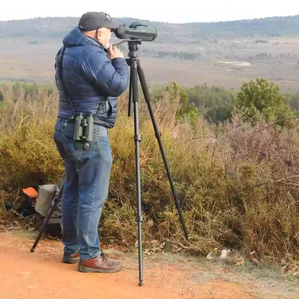 Sio Ecoturismo. Rutas de avistamiento con guía: oso pardo, rutas interpretativas, berrea del ciervo