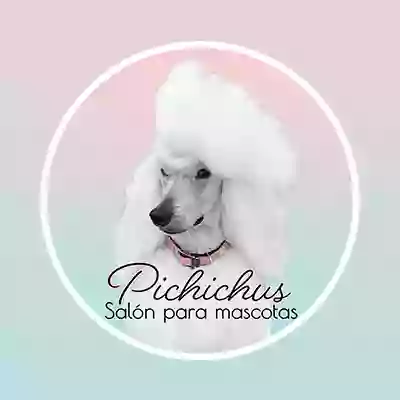 Pichichus: Peluqueria Canina en Mallorca