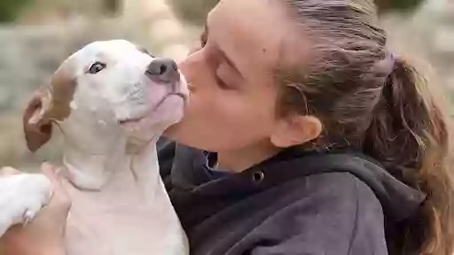 ALIFY CUIDADORA DE MASCOTAS Y PERROS EN MALLORCA