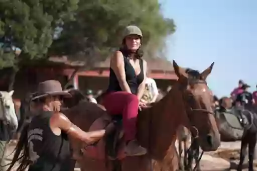 Alcudia Horses