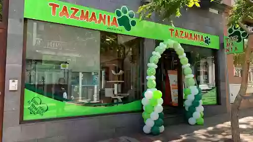 Tazmania Mascota San Pedro