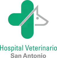 Medivet San Antonio 24 hrs