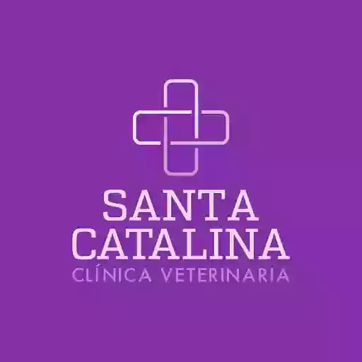 Medivet Santa Catalina