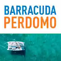 Barracuda Perdomo