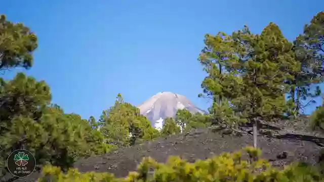 Sendero del Chinyero