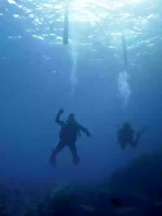 Colectivo de buceo universitario de Tenerife