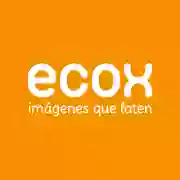 Ecox 4D - Fuerteventura - Especialistas en ecografías 4D