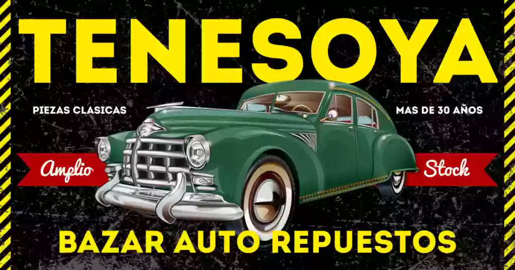 Auto Repuestos Tenesoya