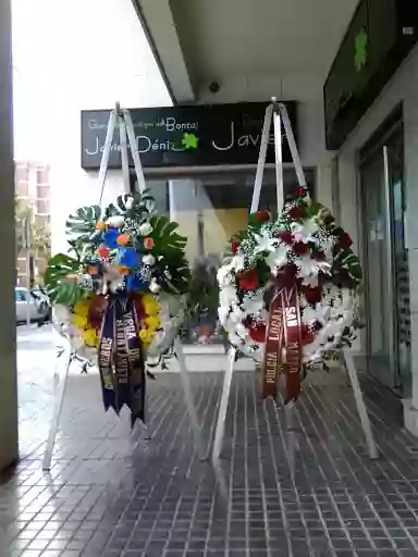 Floristeria y Boutique del Bonsái Javier Déniz